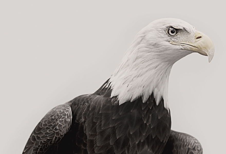 Why I Quit The Fashion Industry To Live In A Cabin In The Woods Why I Quit The Fashion Industry To Live In A Cabin In The Woods