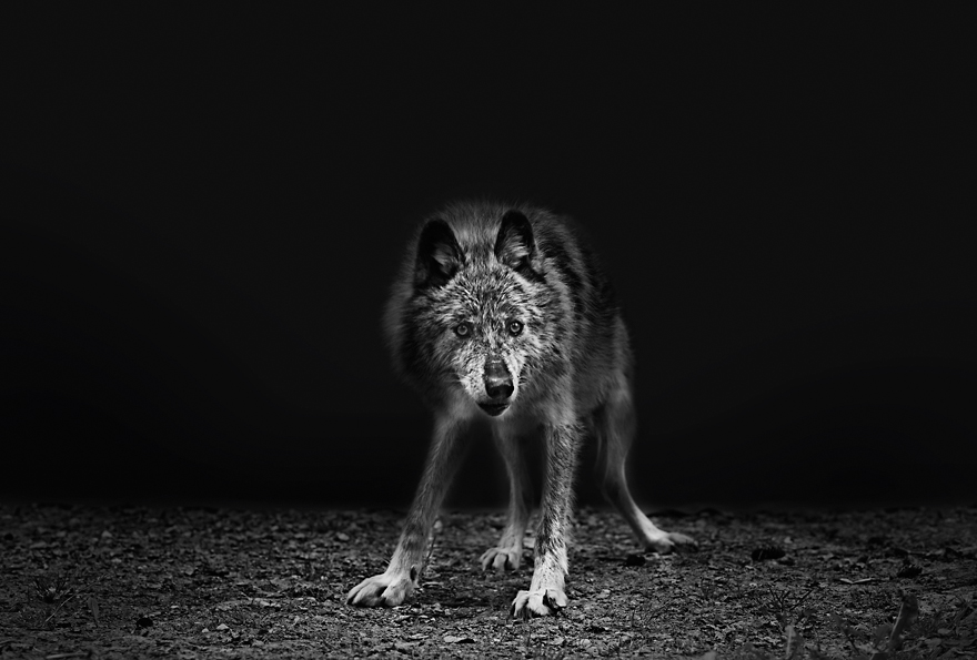 Why I Quit The Fashion Industry To Live In A Cabin In The Woods Why I Quit The Fashion Industry To Live In A Cabin In The Woods