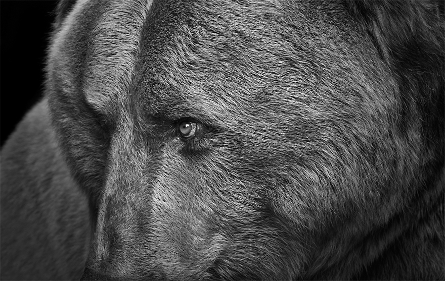 Why I Quit The Fashion Industry To Live In A Cabin In The Woods Why I Quit The Fashion Industry To Live In A Cabin In The Woods