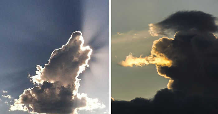 121 Amazing Clouds That Look Like Dragons, Dogs And Dinosaurs