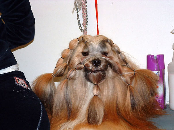 Just After The Hairdresser