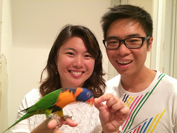 Cafe Where You Can Play With Parrots