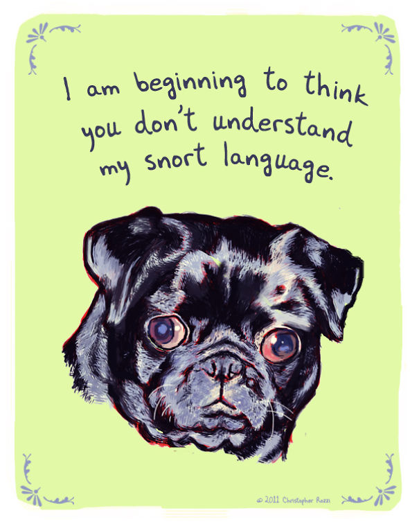 Tiny Animal Confessions