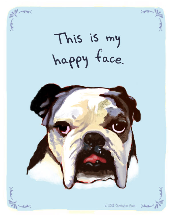 Tiny Animal Confessions