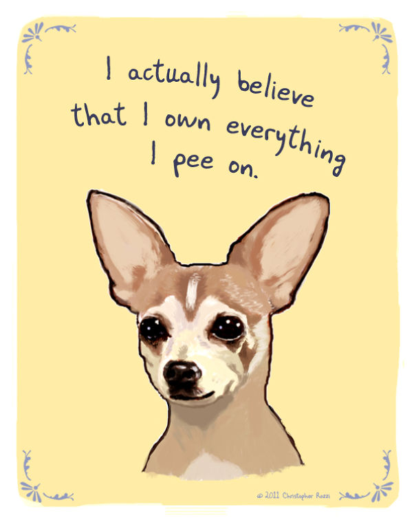 Tiny Animal Confessions