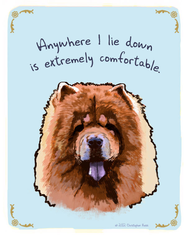 Tiny Animal Confessions