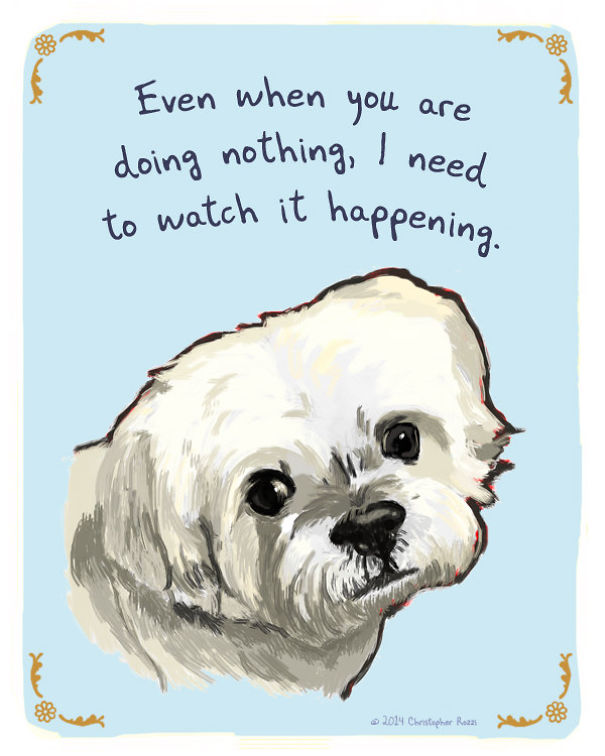 Tiny Animal Confessions