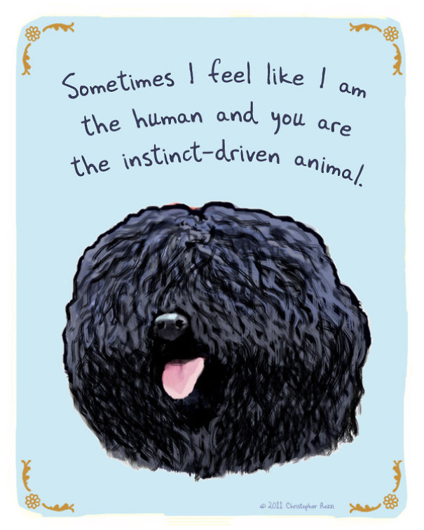 Tiny Animal Confessions