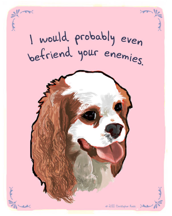 Tiny Animal Confessions