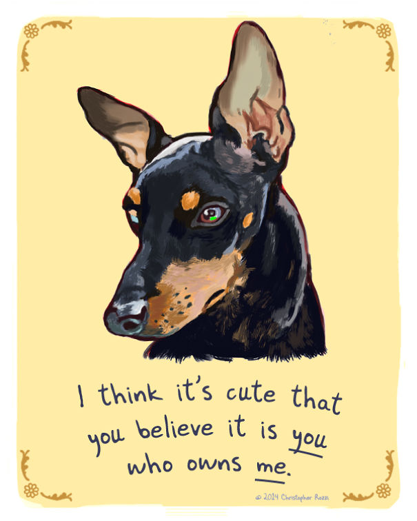 Tiny Animal Confessions