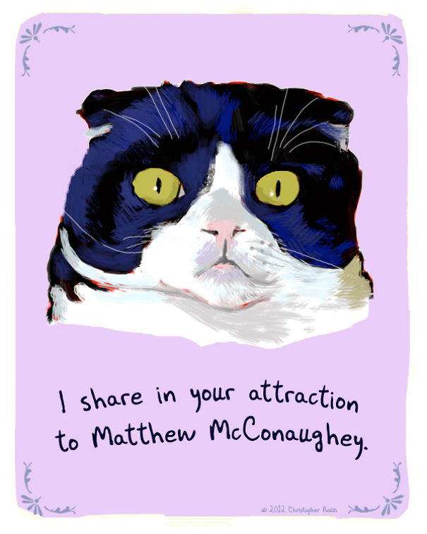 Tiny Animal Confessions