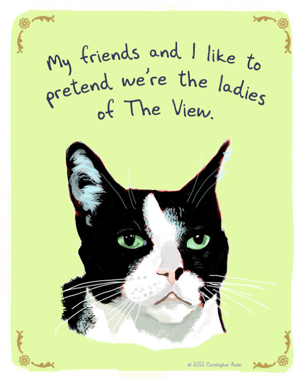 Tiny Animal Confessions