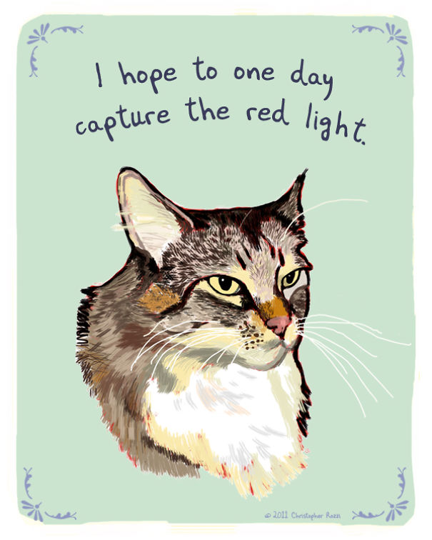 Tiny Animal Confessions