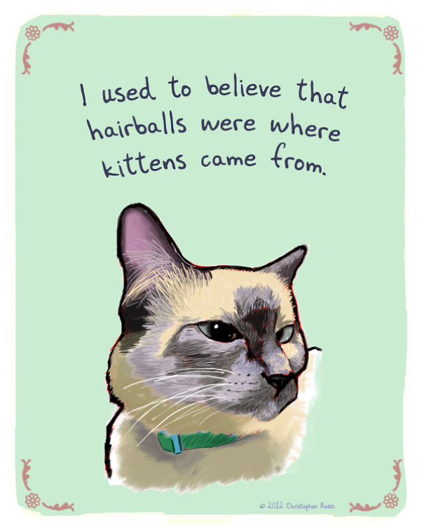 Tiny Animal Confessions