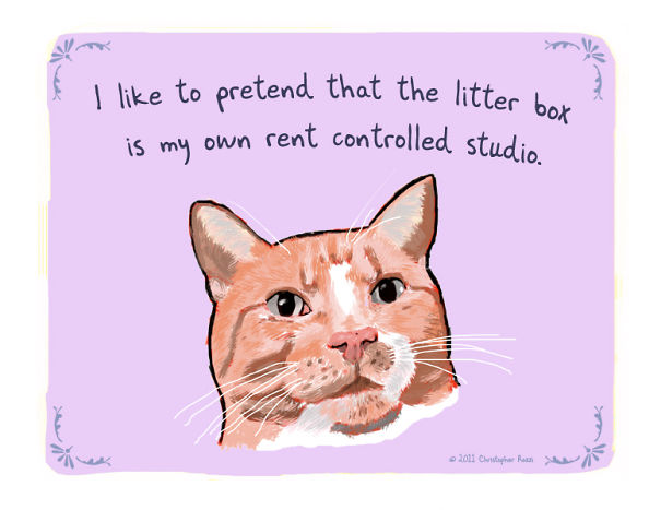 Tiny Animal Confessions