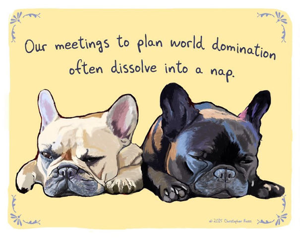 Tiny Animal Confessions