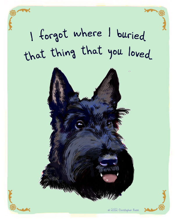 Tiny Animal Confessions