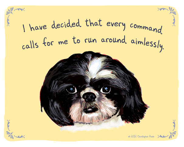 Tiny Animal Confessions