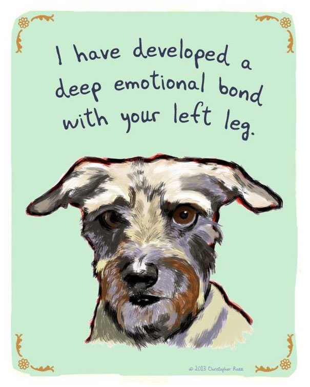 Tiny Animal Confessions