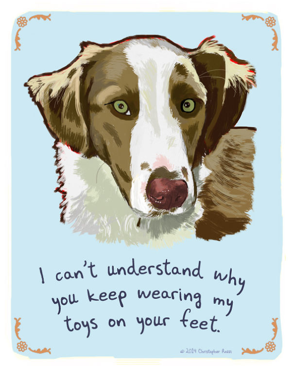 Tiny Animal Confessions