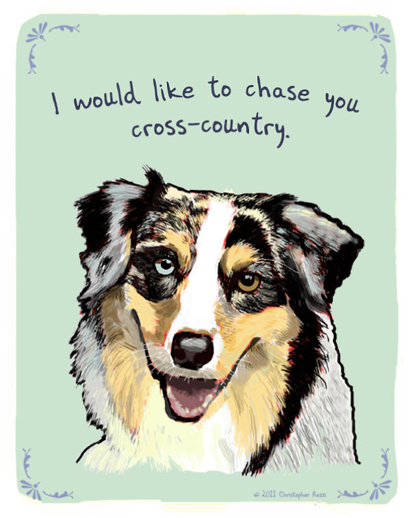 Tiny Animal Confessions