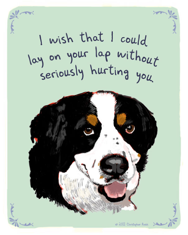 Tiny Animal Confessions