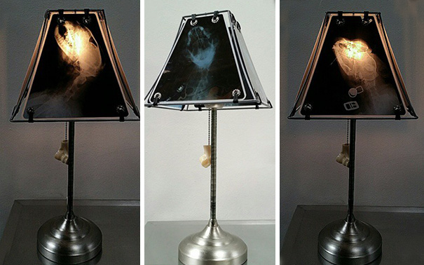animal-x-ray-lamp-shade-veterinary-oncologist-spike-vain-1
