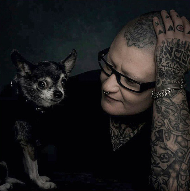 animal-x-ray-lamp-shade-veterinary-oncologist-spike-vain-2 animal-x-ray-lamp-shade-veterinary-oncologist-spike-vain-2