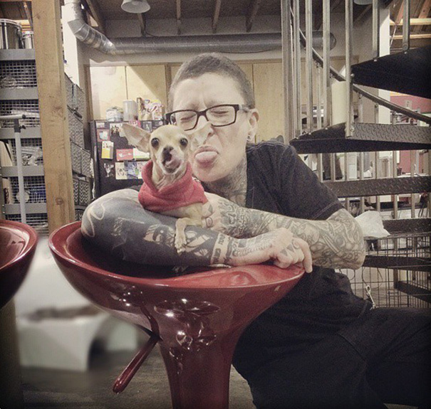 animal-x-ray-lamp-shade-veterinary-oncologist-spike-vain-4