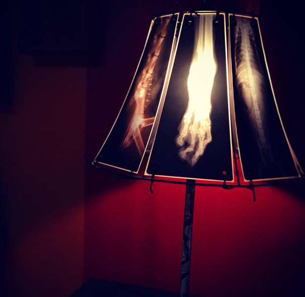 animal-x-ray-lamp-shade-veterinary-oncologist-spike-vain-7 animal-x-ray-lamp-shade-veterinary-oncologist-spike-vain-7