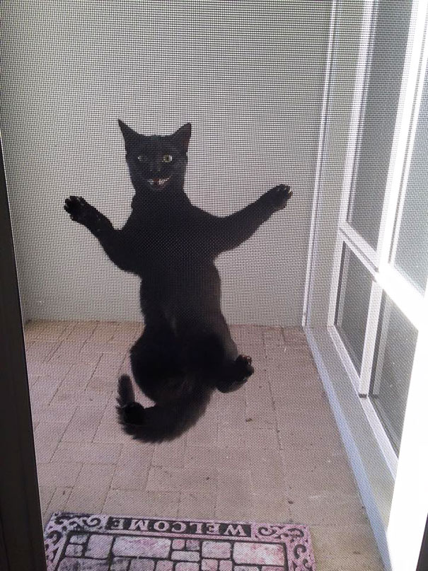 Someone's Happy I'm Home