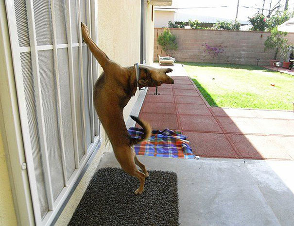 Oh God! Let Me In! Noooooooooow!!!!