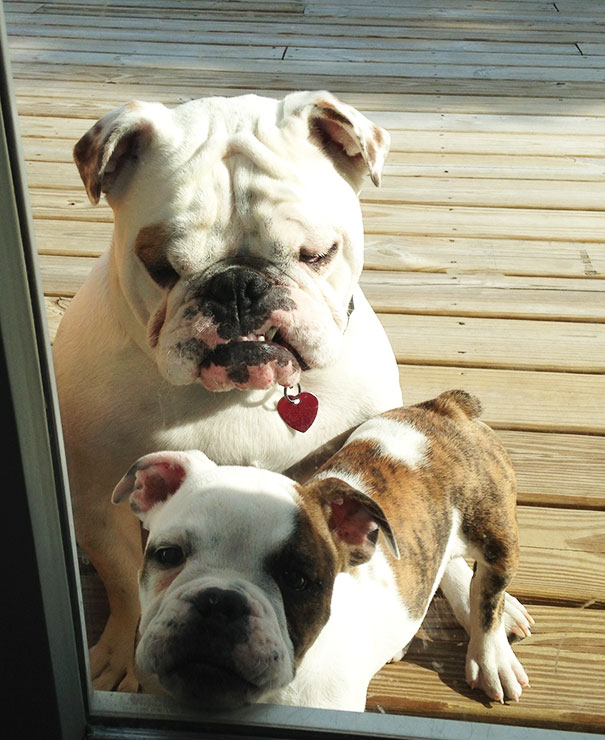 Let Me In! He's Right Behind Me