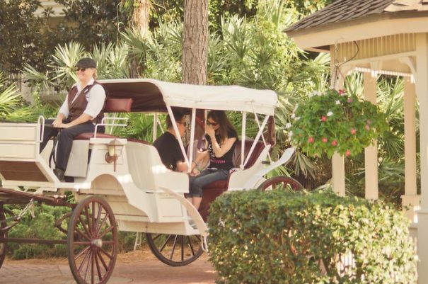 Princess Carriage Proposal