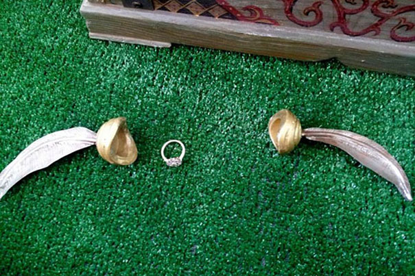 Harry Potter Themed Proposal