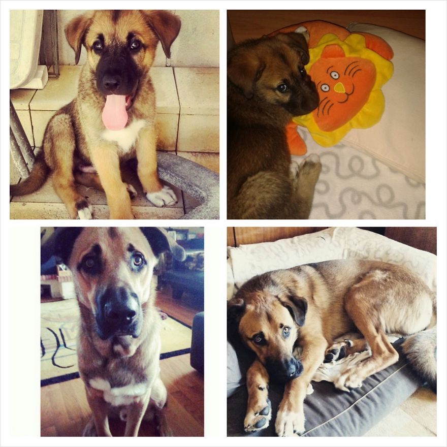 Buzz 1 Month Vs. Buzz 1 Year