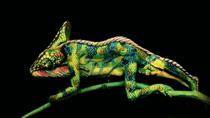 chameleon-body-painting-optical-illusion-johannes-stotter-2 chameleon-body-painting-optical-illusion-johannes-stotter-2