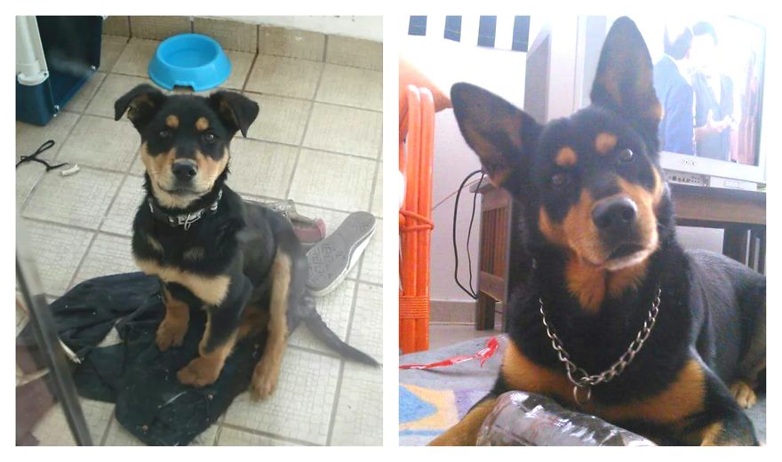 Still Curious- 7 Years Apart