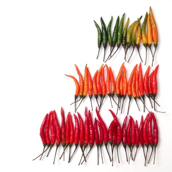 colorful-food-arrangement-photography-foodgradients-brittany-wright-2