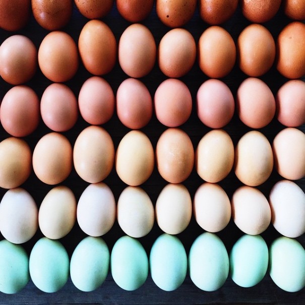 colorful-food-arrangement-photography-foodgradients-brittany-wright-3