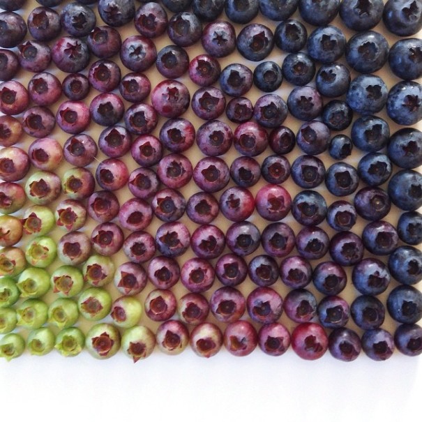 colorful-food-arrangement-photography-foodgradients-brittany-wright-6