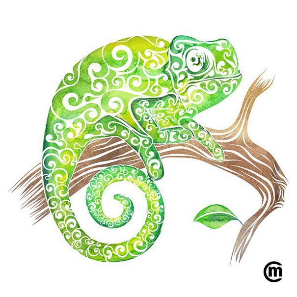 colorful-illustrations-swirly-animals-carolina-matthes-8 colorful-illustrations-swirly-animals-carolina-matthes-8