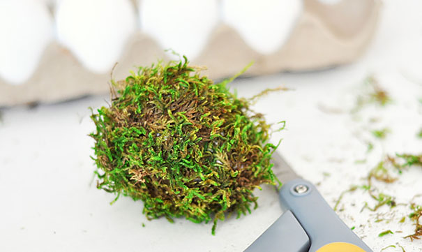 Moss-Covered Easter Eggs