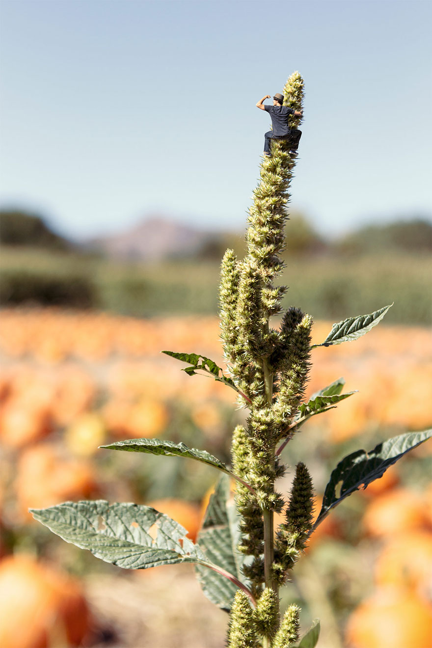 creative-surreal-photography-mark-flower-7 creative-surreal-photography-mark-flower-7