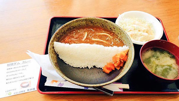 dam-curry-rice-damukare-japan-bento-5 dam-curry-rice-damukare-japan-bento-5