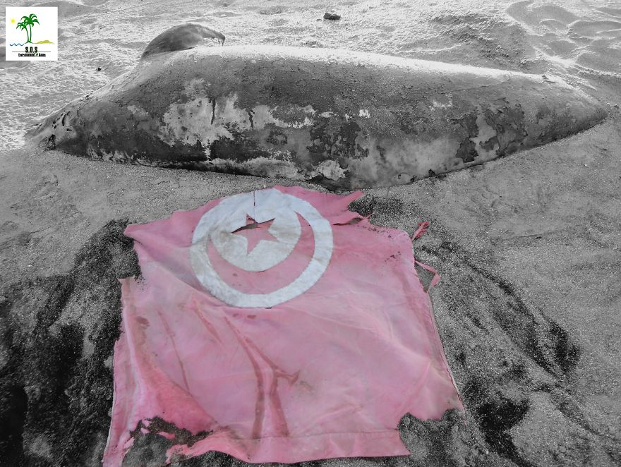 The Tunisian Chemical Group Ecocide In Gabes (tunisia)