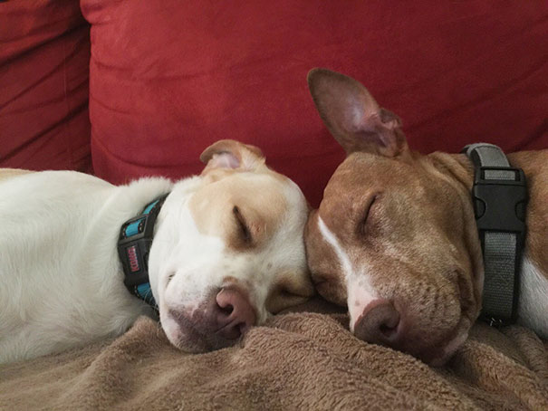 My Best Friends Are Also Best Friends With Each Other