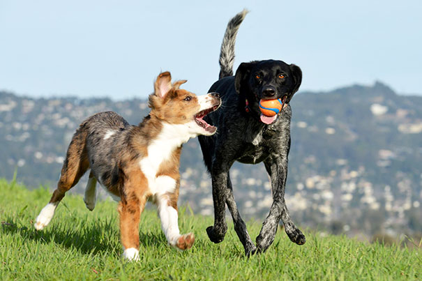 Brothers And Best Friends