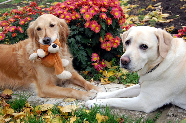 Maybe And Qorbie Holding Hands