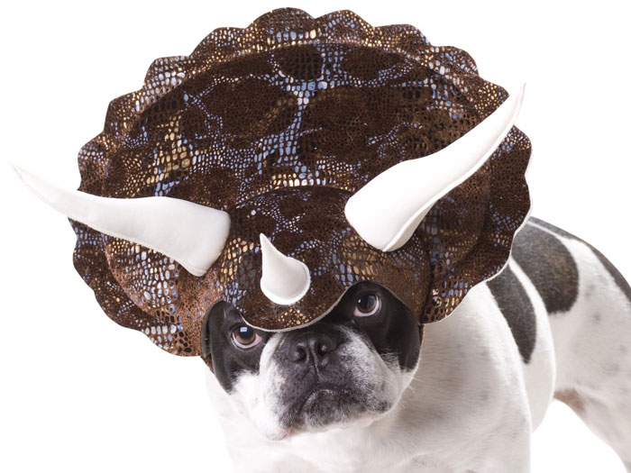 dog-costumes-dinosaur-triceratops-1 dog-costumes-dinosaur-triceratops-1